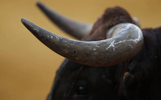 Baleares, la nueva decisión política contra los toros