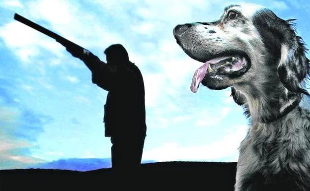 La media veda se abre en Álava con críticas de los ecologistas al declive de las aves cazables