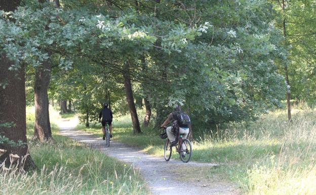 Visita guiada en bicicleta 'por los bosques de Europa' sin salir de Olárizu