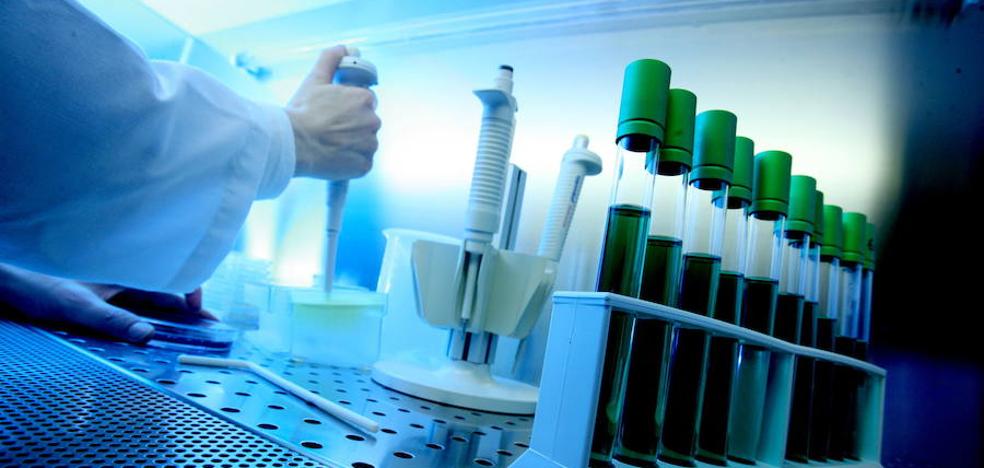 Osakidetza impulsará el próximo año el programa para detectar el cáncer de útero