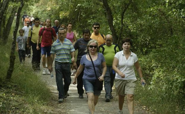 La marcha solidaria al bosque de Armentia adelanta media hora su salida, a las 10.30