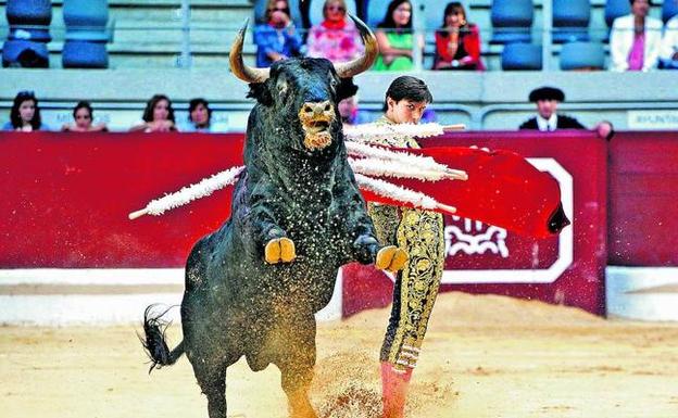 Urtaran abre la puerta a que haya toros en La Blanca al contemplar un concurso para la feria