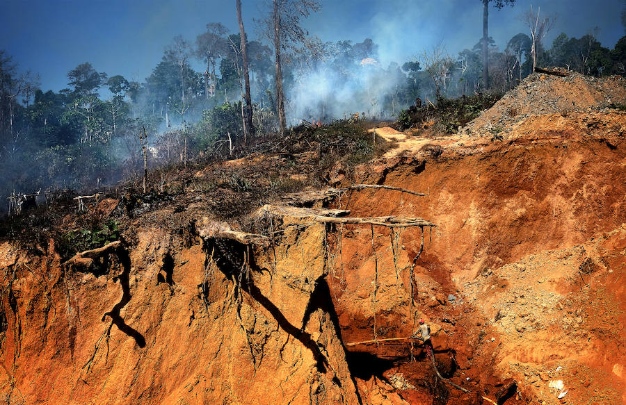 'Garimpeiros': Todo por el oro