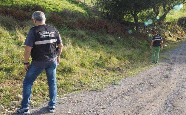 Hallan en una pista forestal de Guriezo a una mujer presuntamente asesinada