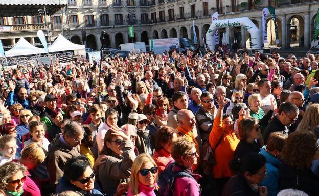 Cerca de dos mil vitorianos disfrutan de un paseo solidario por el bosque de Armentia