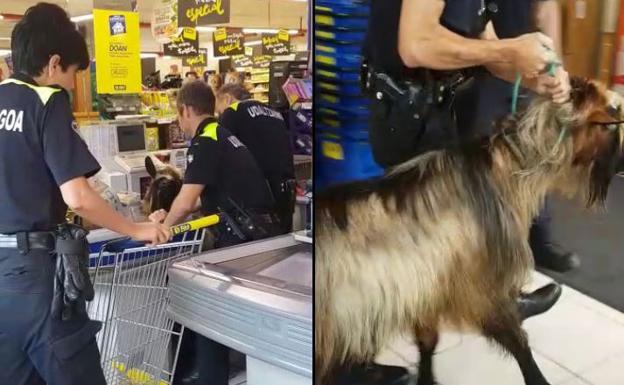 Un cabrito la lía en el cajero del supermercado