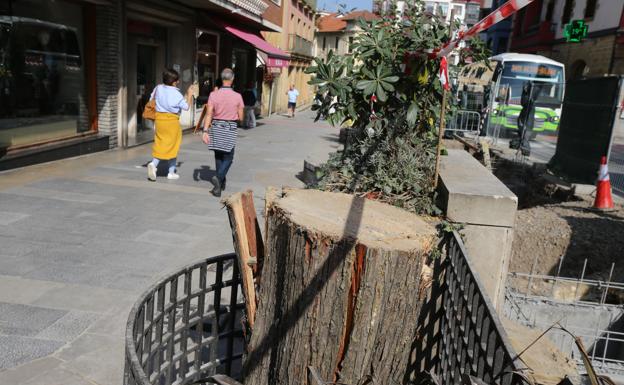 La tala de una decena de árboles en el centro de Algorta solivianta a los vecinos