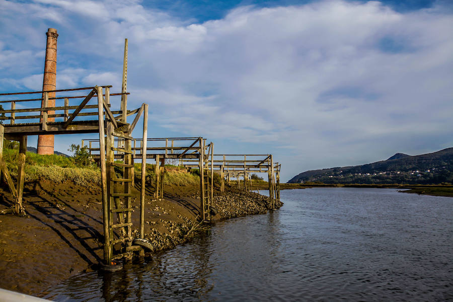 Un paseo por las marismas de Urdaibai