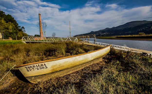 Un paseo por las marismas de Urdaibai