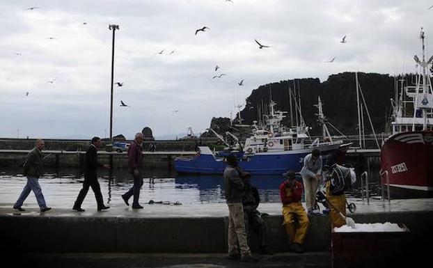 El sector de bajura reclama cuotas por barco y día antes de prohibir la pesca de sardina