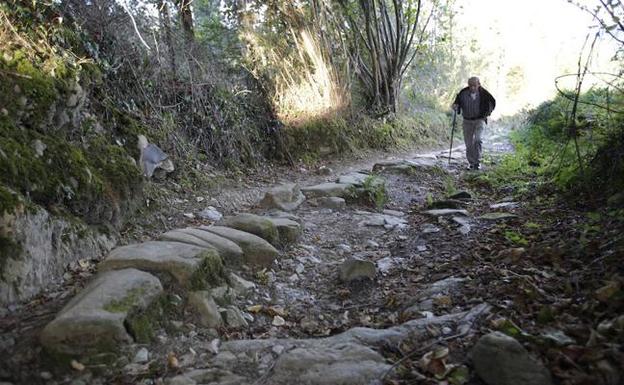 Denuncian el «deplorable» estado de la calzada romana de Bolibar a Zenarruza