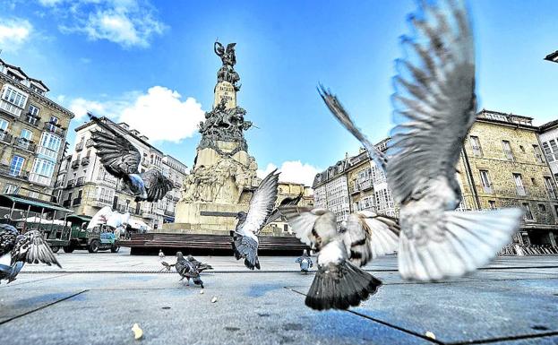 Vitoria inicia la caza selectiva de palomas en cuatro colegios ante el «peligro sanitario»