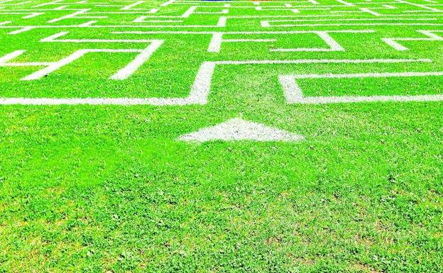 Ziganda se pierde en el laberinto del centro del campo