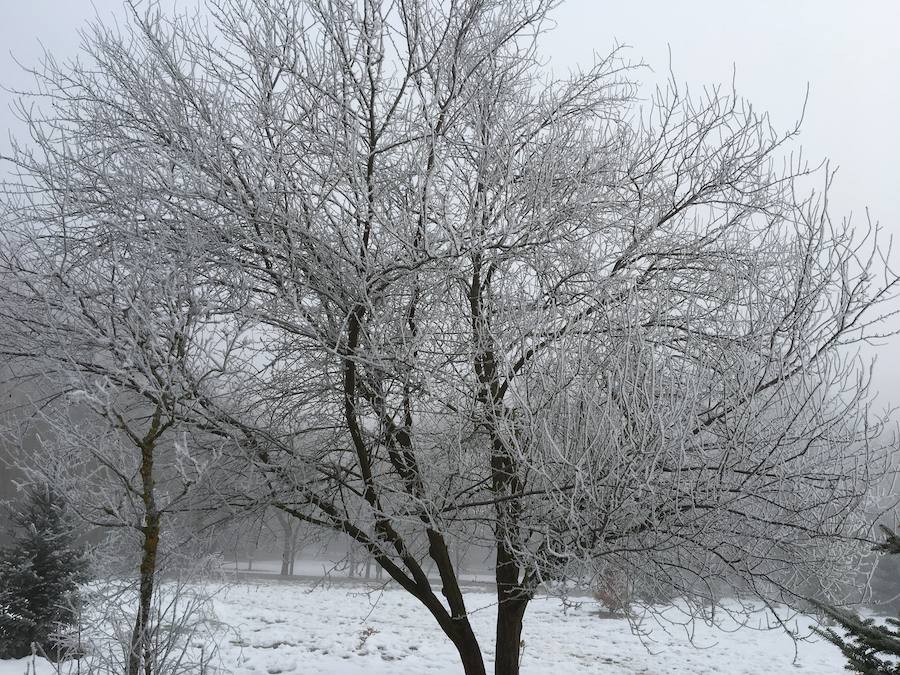 El hielo se apodera de Olárizu