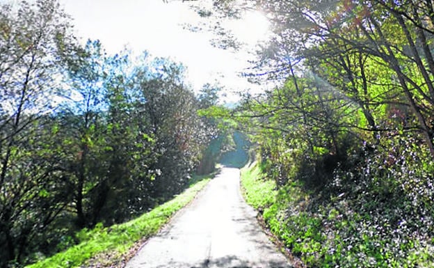 La mejora de Errota Bidea cerrará un anillo verde de 4 kilómetros en Sondika