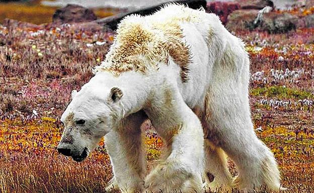 El falso rostro del cambio climático