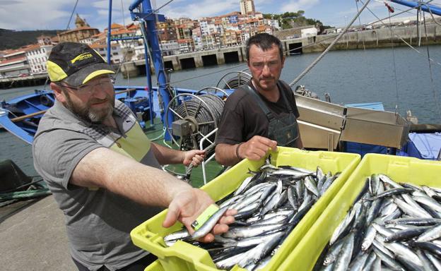 España logra suavizar el drástico recorte de merluza para 2018