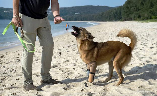 Las prótesis de Cola