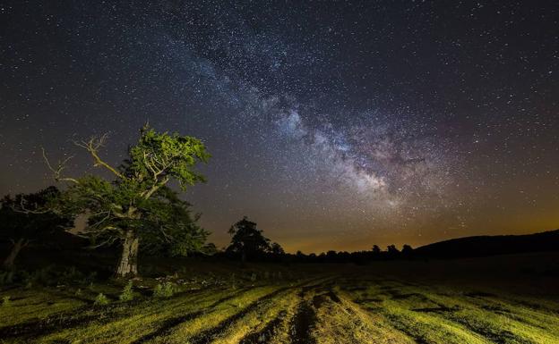 Entzia, el bosque tenebroso