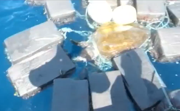 Rescatan a una tortuga enredada entre siete toneladas de fardos de cocaína