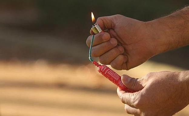 Hacen explotar un petardo en la boca de un gato
