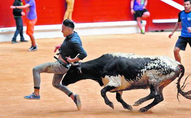 Vitoria sacará a concurso un pliego exclusivo de vaquillas para dar uso al Iradier en La Blanca