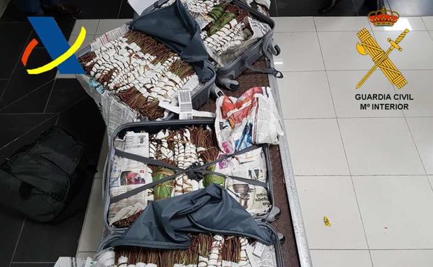 Aprehenden en el aeropuerto de Hondarribia 30 kilos de khat, considerada la 'cocaína africana'