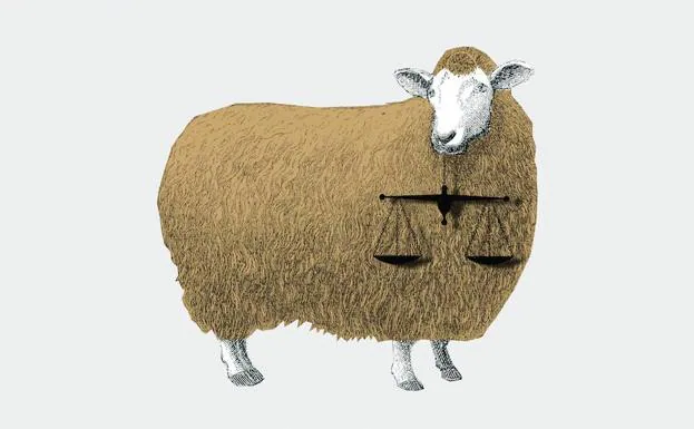 La jueza y la oveja 28