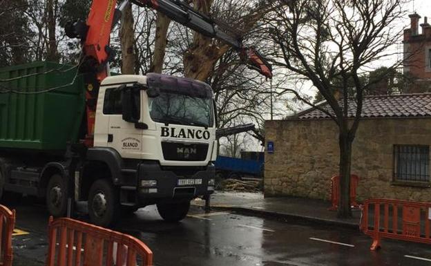 Vecinos de Arkotxa y Los Fueros critican las últimas talas de árboles en Getxo