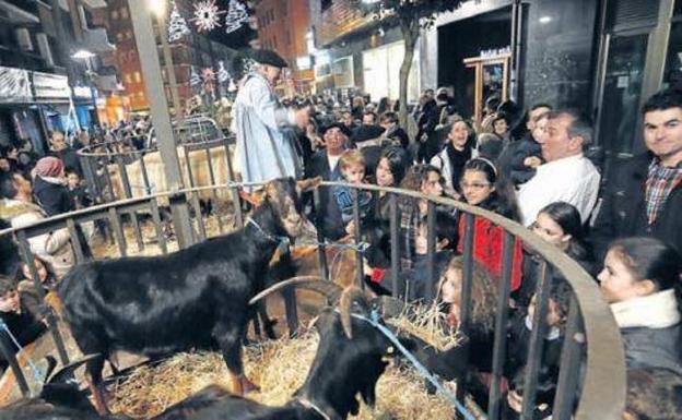Colectivos conservacionistas piden prohibir eventos con animales en Basauri