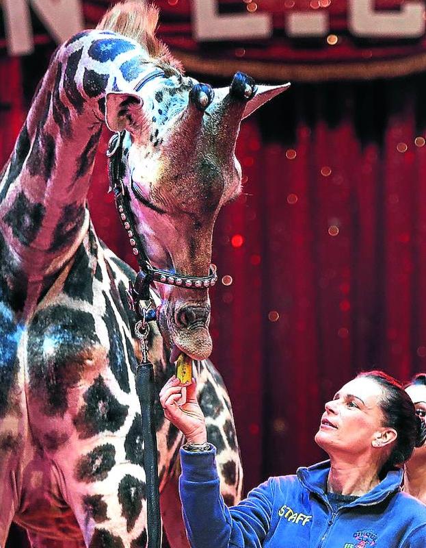 Estefanía de Mónaco quiere animales en los circos