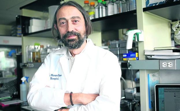 «La vacuna universal contra la gripe puede llegar en diez años»