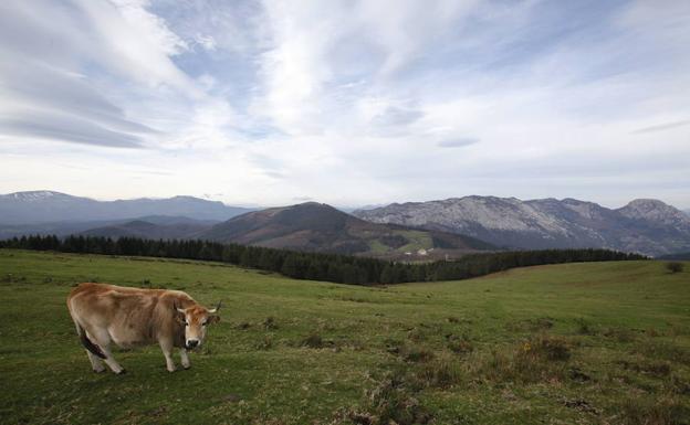 Bizkaia regula las actividades en Urkiola: prohibido acampar y los deportes como el parapente