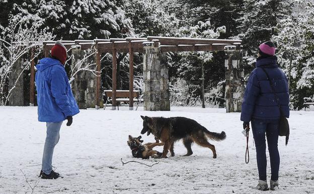 Álava continúa en alerta amarilla por la aparición de hielo además de nieve