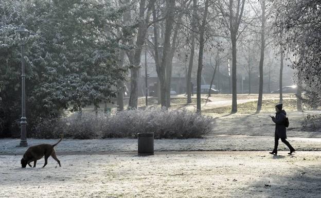 Hiela en toda la provincia: Iturrieta da la mínima con -9,3 grados