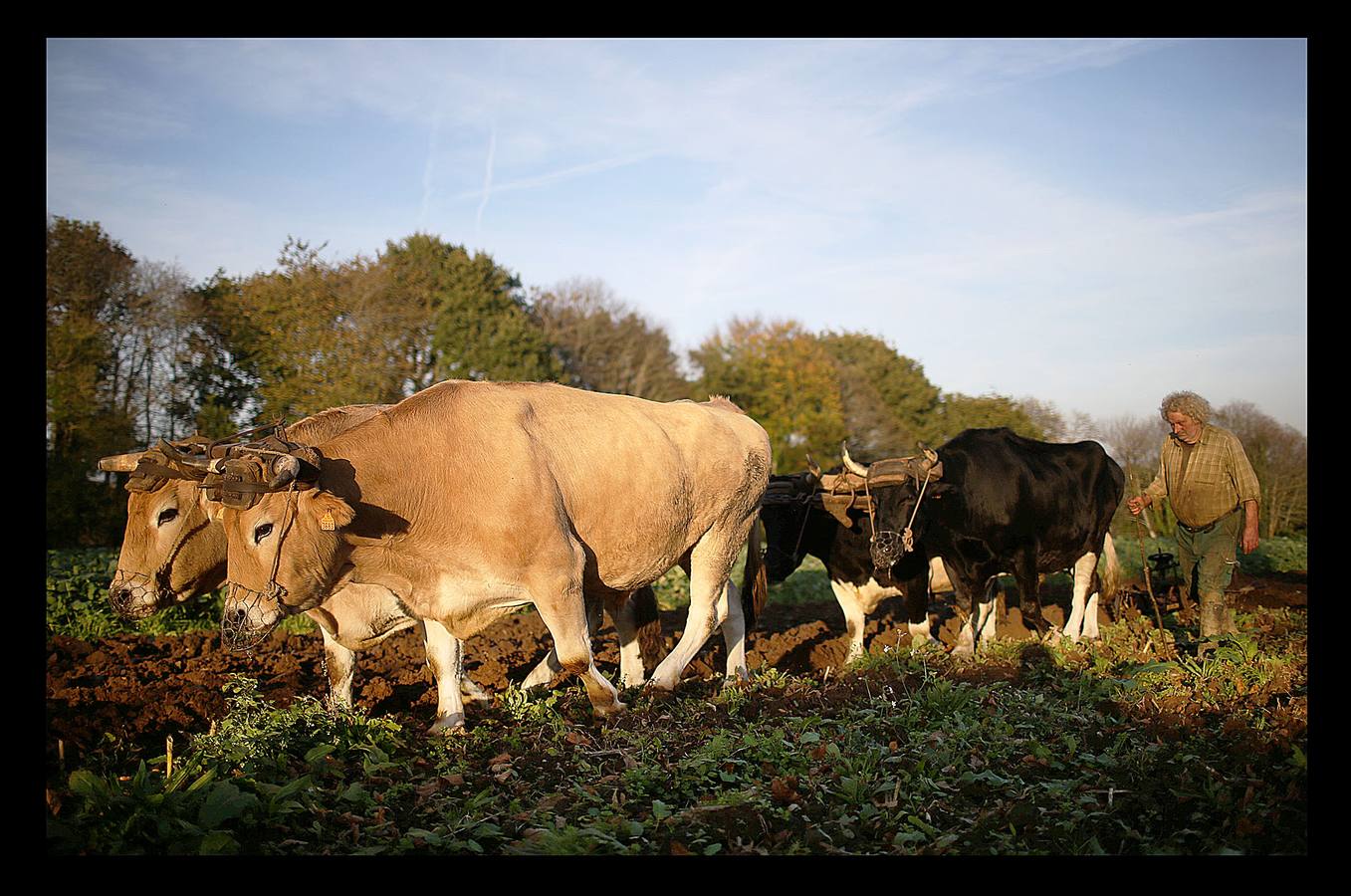 La vida feliz de Jean-Bernard Huon