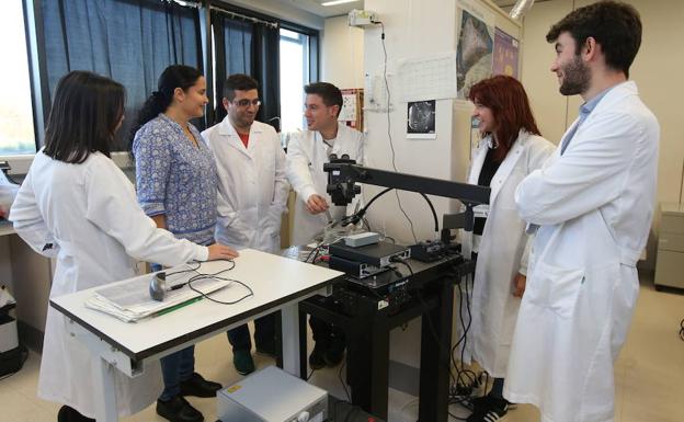 Los investigadores de Ikerbasque lograron atraer a Euskadi 26,3 millones de euros en 2017