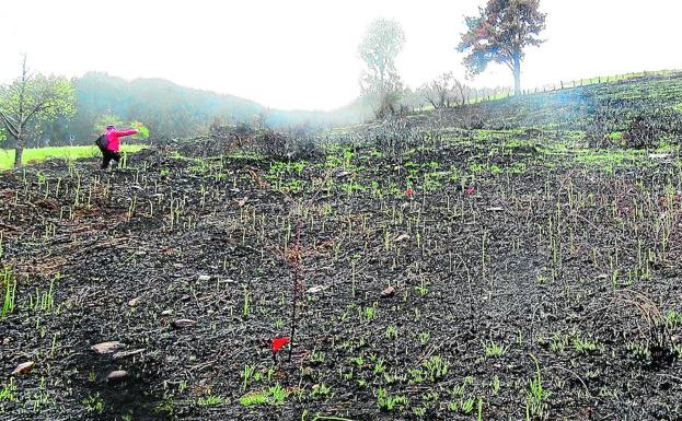 Detienen a un ganadero acusado de provocar dos incendios en Carranza