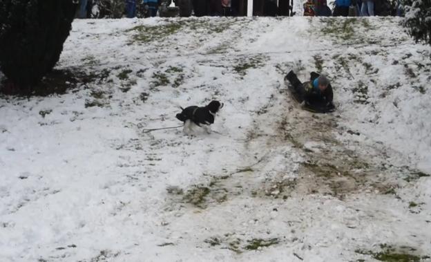 Deslizándose por la nieve en Doña Casilda