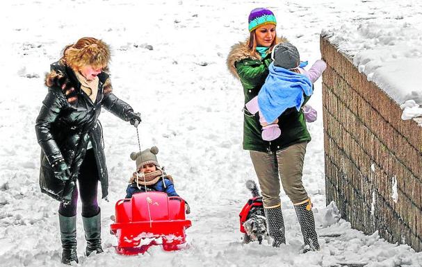 «La precipitación ha sido escasa, de nieve con mucho volumen y poco peso»