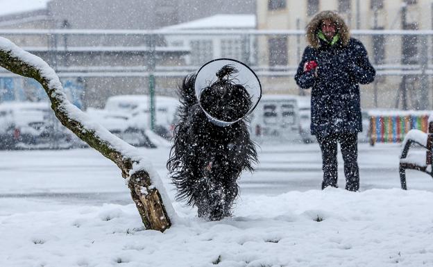 La primavera en Álava se prevé fría y con precipitaciones