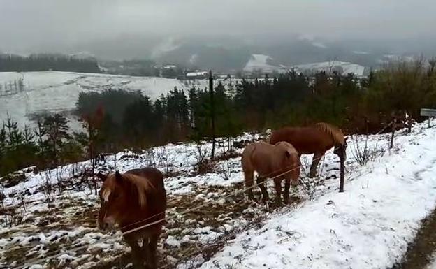 Nieve en las cumbres; sin problemas en la red principal de carreteras