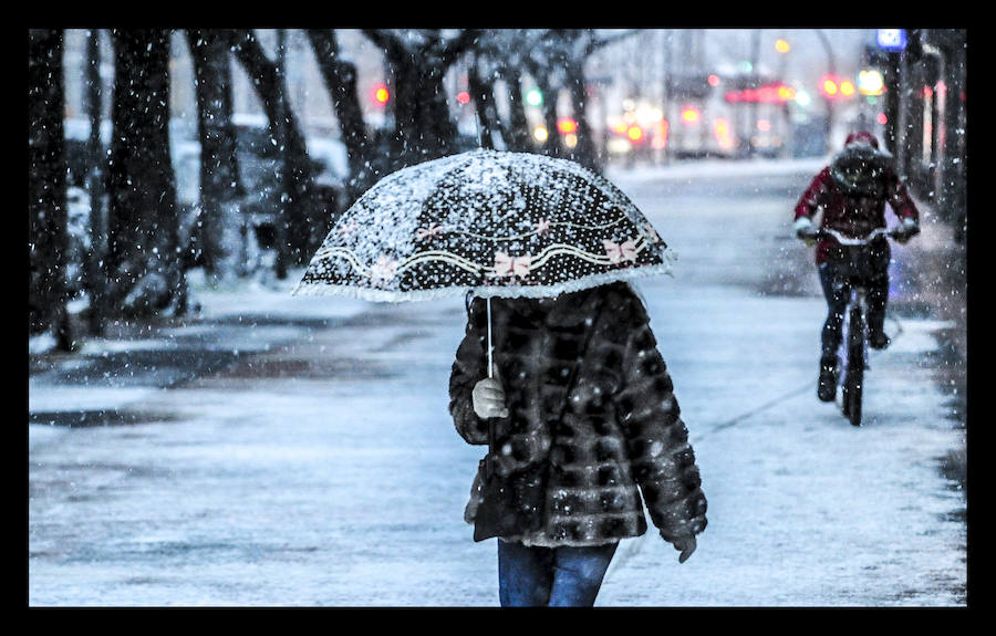 Álava se despide del invierno cubierta con un manto de nieve