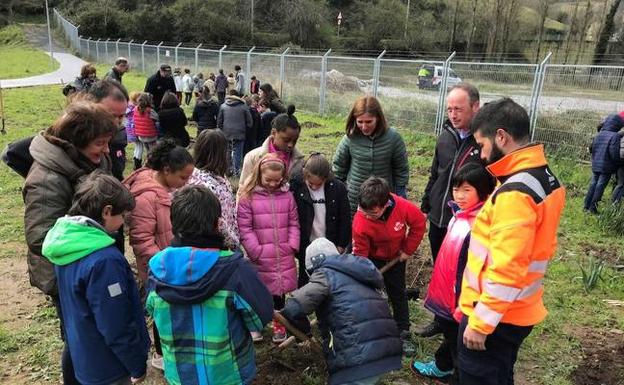 La naturaleza echa raíces en Arbuio