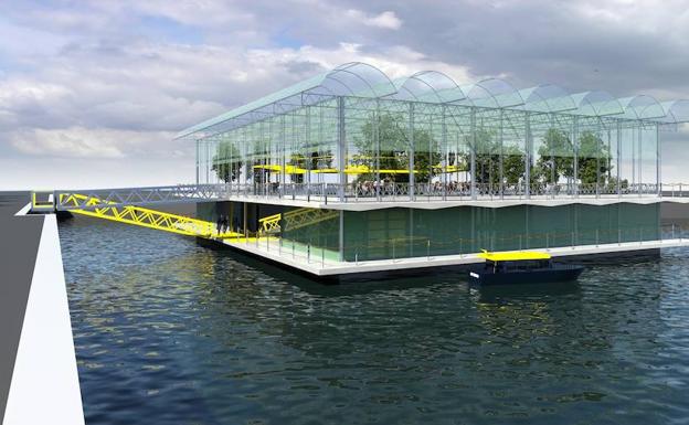 Vacas sobre el agua en Rotterdam