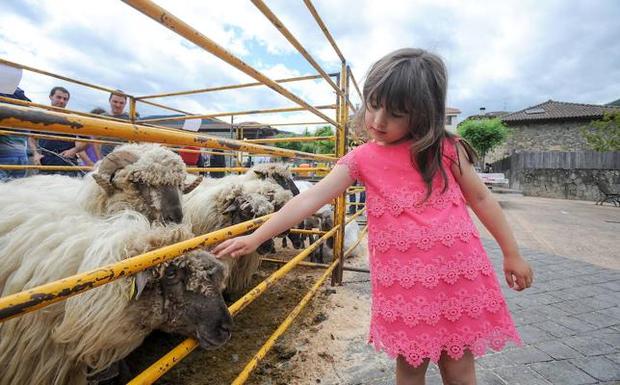 Orozko reivindica con una feria la importancia del pastoreo