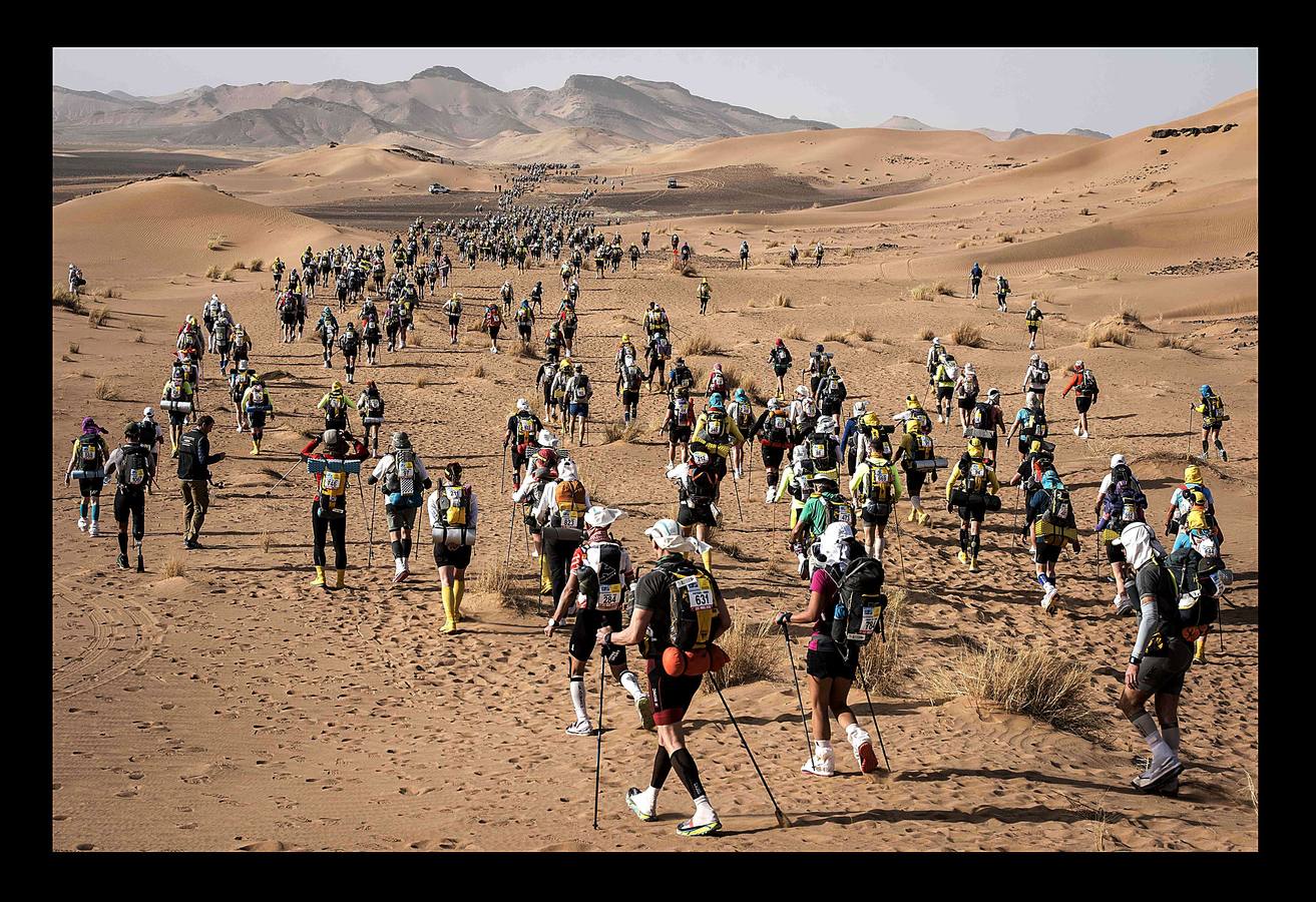 Correr delante del camello