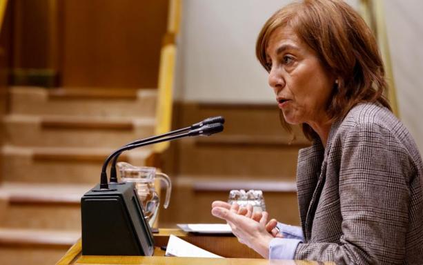 La consejera de Educación dice que el homenaje a un etarra organizado en la UPV era «incontrolable»