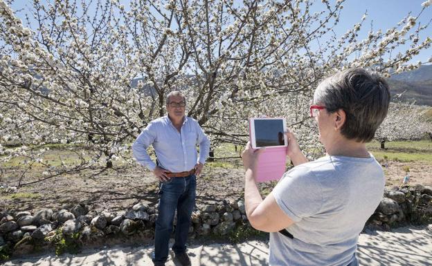 Más turistas que cerezos en flor