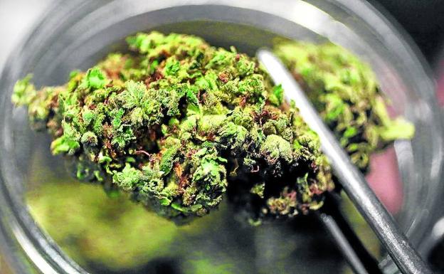 Italia se engancha a la 'maría' legal